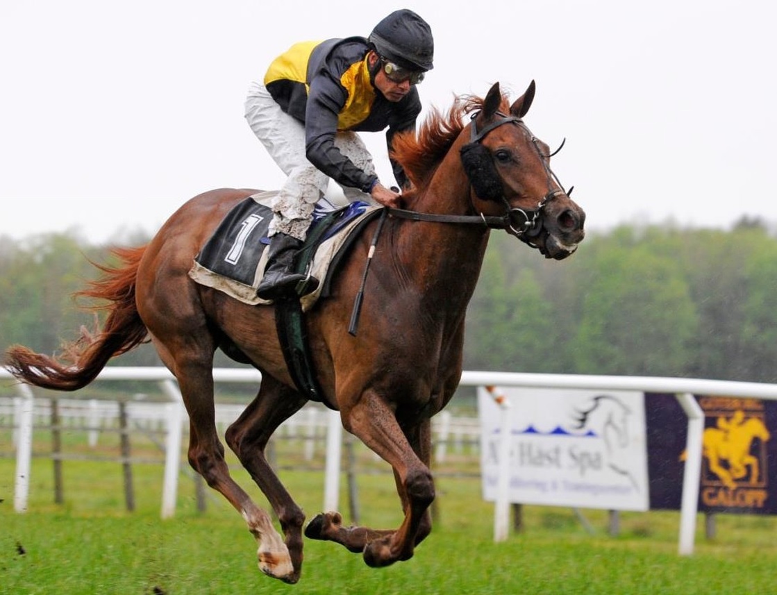 juegos-apuestas-carreras-caballos